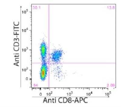 Flow Cytometry: CD8 Antibody (53-6.7) - Azide and BSA Free [NBP2-80658]