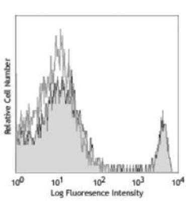 Flow Cytometry: CD8 Antibody (53-6.7) - Azide and BSA Free [NBP2-80658]
