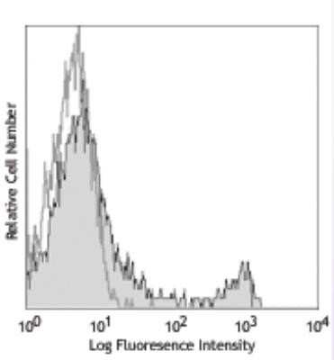 Flow Cytometry: CD8 Antibody (53-6.7) - Azide and BSA Free [NBP2-80658]