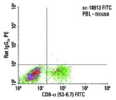 Flow Cytometry: CD8 Antibody (53-6.7) - Azide and BSA Free [NBP2-80658]