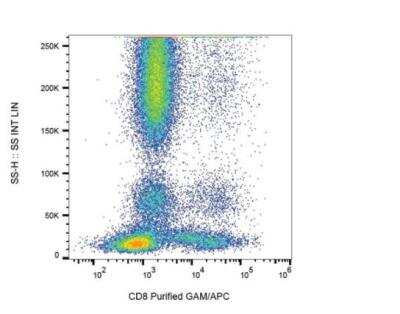 Flow Cytometry: CD8 Antibody (LT8) - BSA Free [NBP3-09120]