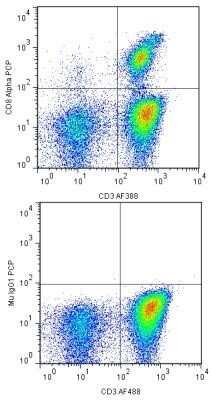 Flow Cytometry: CD8 Antibody (RPA-T8) - Azide and BSA Free [NBP2-80659]