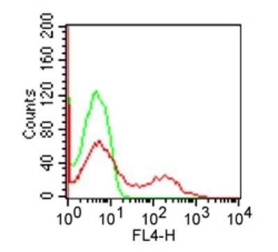 Flow Cytometry: CD8 Antibody (RPA-T8) - Azide and BSA Free [NBP2-80659]