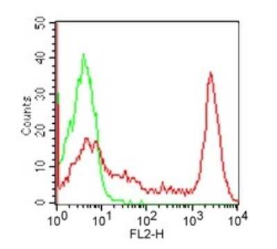 Flow Cytometry: CD8 Antibody (RPA-T8) - Azide and BSA Free [NBP2-80659]