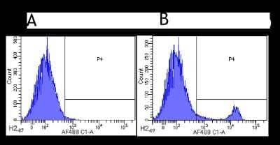 Flow Cytometry: CD8 beta Antibody (YTS 156.7.7) - Chimeric - Azide and BSA Free [NBP2-62563]