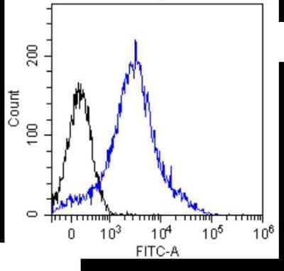 Flow Cytometry: CD8 beta Antibody (YTS 156.7.7) - Chimeric - Azide and BSA Free [NBP2-62563]