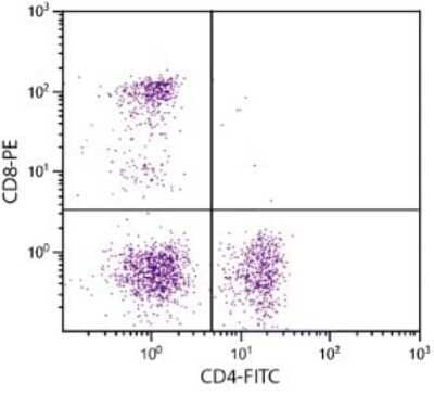 Flow Cytometry: CD8 Antibody (fCD8) - Azide and BSA Free [NBP1-28254]