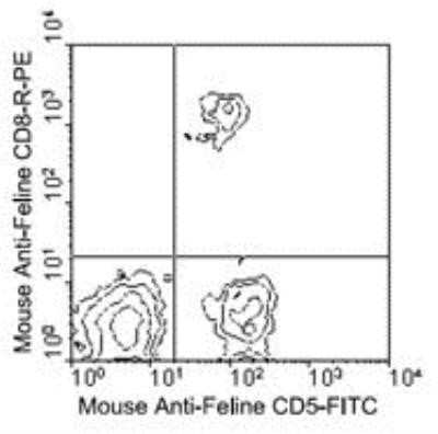 Flow Cytometry: CD8 Antibody (fCD8) - Azide and BSA Free [NBP1-28254]
