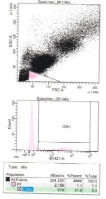 Flow Cytometry: CD8 Antibody (fCD8) - Azide and BSA Free [NBP1-28254]