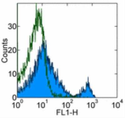 Flow Cytometry: CD8 beta Antibody (H35-17.2) - BSA Free [NBP1-43449]