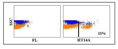 Flow Cytometry: CD8 beta Antibody (HT14A) [NBP2-60954]