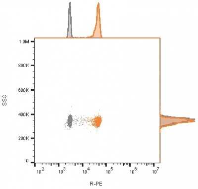 Flow Cytometry: CD81 Antibody (1.3.3.22) [NBP2-53318]