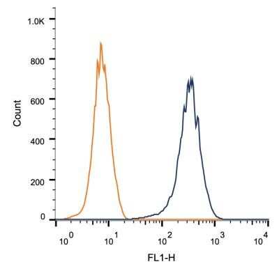 Flow Cytometry: CD81 Antibody (1D6) - Azide and BSA Free [NBP2-80660]