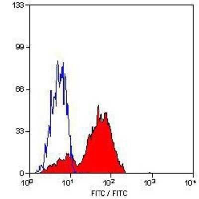 Flow Cytometry: CD81 Antibody (1D6) - BSA Free [NB100-65805]