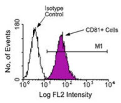 Flow Cytometry: CD81 Antibody (2F7) - Azide and BSA Free [NBP1-28136]