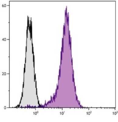 Flow Cytometry: CD81 Antibody (2F7) - Azide and BSA Free [NBP1-28136]