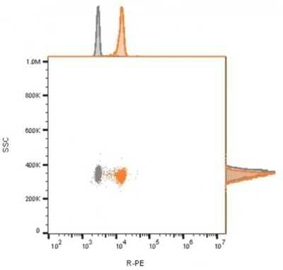 Flow Cytometry: CD81 Antibody (C81/2885R) - Azide and BSA Free [NBP3-08796]