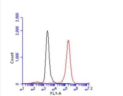 Flow Cytometry: CD81 Antibody [NBP2-20564]