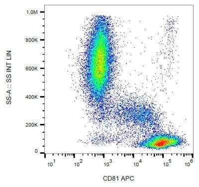 Flow Cytometry: CD81 Antibody (M38) - BSA Free [NBP1-44861]