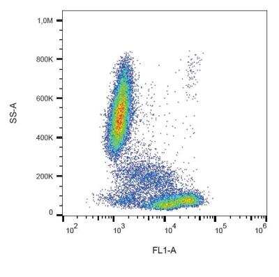 Flow Cytometry: CD81 Antibody (M38) - BSA Free [NBP1-44861]