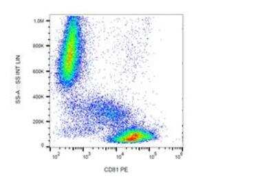 Flow Cytometry: CD81 Antibody (M38) - BSA Free [NBP1-44861]