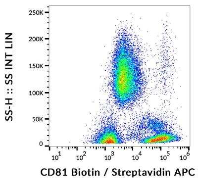 Flow Cytometry: CD81 Antibody (M38) - BSA Free [NBP1-44861]