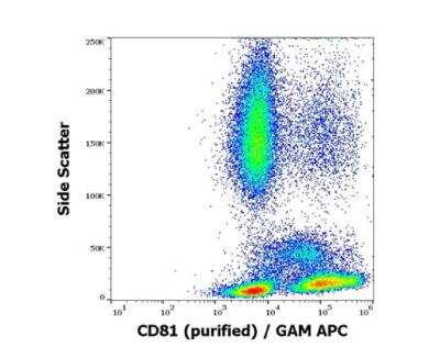 Flow Cytometry: CD81 Antibody (M38) - BSA Free [NBP1-44861]