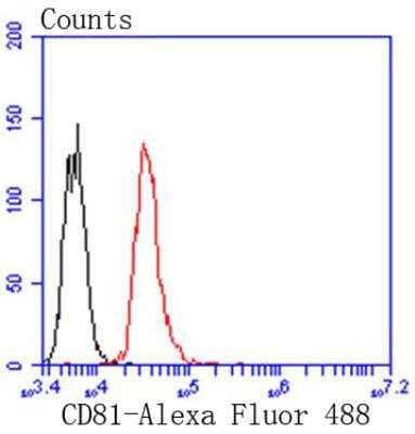 Flow Cytometry: CD81 Antibody (SN206-01) [NBP2-67722]