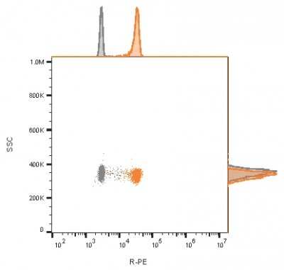 Flow Cytometry: CD81 Antibody (rC81/3442) [NBP3-07474]