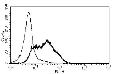 Flow Cytometry: CD82/Kai-1 Antibody (B-L2) - Azide and BSA Free [NBP3-18099]