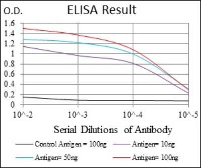 ELISA: CD9 Antibody (5G6) - BSA Free [NBP2-22187]