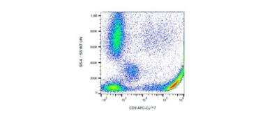 Flow Cytometry: CD9 Antibody (MEM-61) - BSA Free [NB500-327]