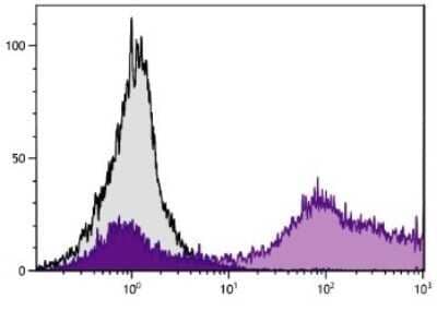 Flow Cytometry: CD9 Antibody (MM2/57) [NBP1-28363]