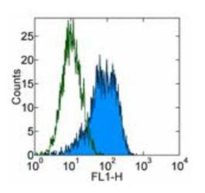 Flow Cytometry: CD90/Thy1 Antibody (5E10) - BSA Free [NBP1-43379]