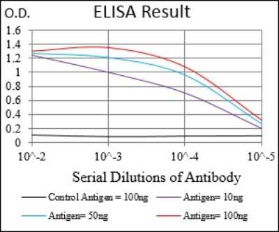 ELISA: CD90/Thy1 Antibody (7E1B11) - BSA Free [NBP2-37330]