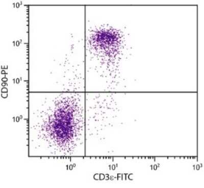 Flow Cytometry: CD90/Thy1 Antibody (G7) - Azide and BSA Free [NBP1-28031]