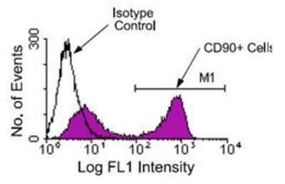 Flow Cytometry: CD90/Thy1 Antibody (G7) - Azide and BSA Free [NBP1-28031]