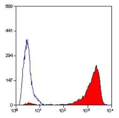 Flow Cytometry: CD90/Thy1 Antibody (OX-7) - BSA Free [NB100-65543]