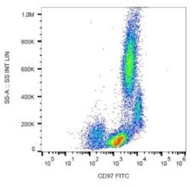 Flow Cytometry: CD97 Antibody (MEM-180) - BSA Free [NB500-425]