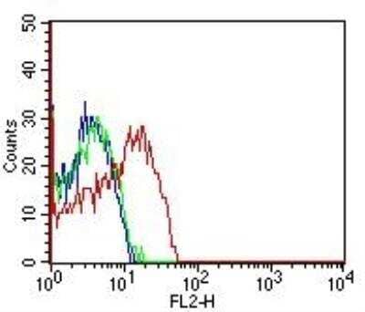 Flow (Cell Surface): CD98 Antibody (1C11.7E3) - BSA Free [NBP2-36491]
