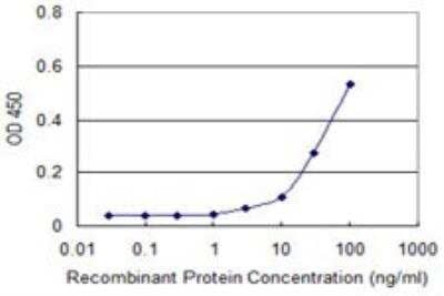 ELISA: CDC2/CDK1 Antibody (1A4-1A9) [H00000983-M01]