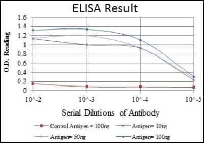 ELISA: CDC2/CDK1 Antibody (2G9) - BSA Free [NBP2-37626]