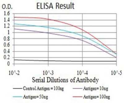 ELISA: CDC37 Antibody (6B3B5) - BSA Free [NBP2-61731]