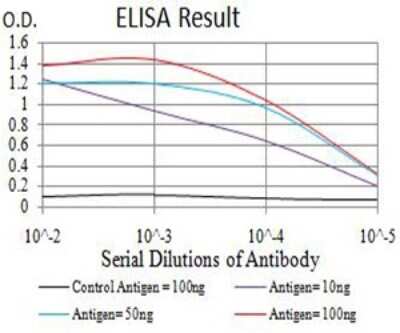 ELISA: CDC37 Antibody (6B3B7) - BSA Free [NBP2-61730]