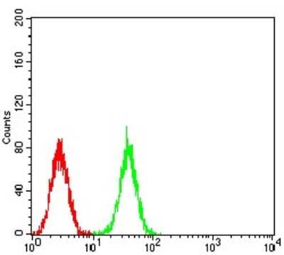 Flow Cytometry: CDC37 Antibody (6B3B7) - BSA Free [NBP2-61730]