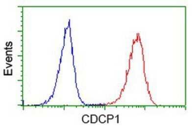 Flow Cytometry: CDCP1 Antibody (OTI2C1) - Azide and BSA Free [NBP2-72156]