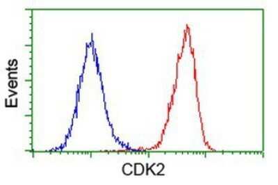 Flow Cytometry: CDK2 Antibody (OTI2D9) - Azide and BSA Free [NBP2-70392]