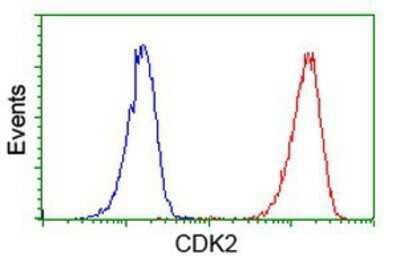 Flow Cytometry: CDK2 Antibody (OTI2D9) - Azide and BSA Free [NBP2-70392]