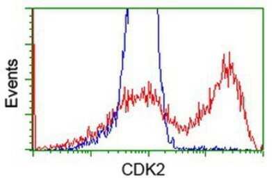 Flow Cytometry: CDK2 Antibody (OTI2D9) - Azide and BSA Free [NBP2-70392]
