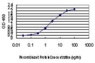 ELISA: CDK8 Antibody (5H4) [H00001024-M03]